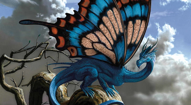 Buttefly dragon, fantasy, wings, luminos, orange, butterfly, dragon, blue, HD wallpaper