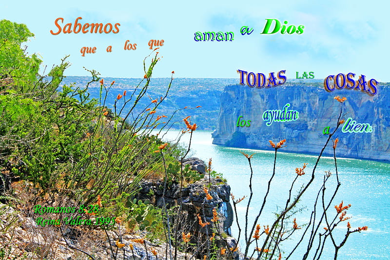 Todas las Cosas a Bien, rivers, water, stone, cliffs, plants, Bible, flowers, HD wallpaper