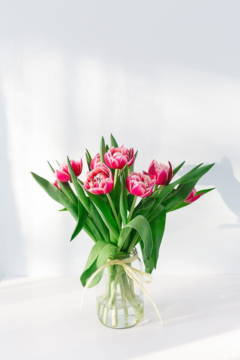 tulips, flowers, bouquet, pink, vase, HD phone wallpaper