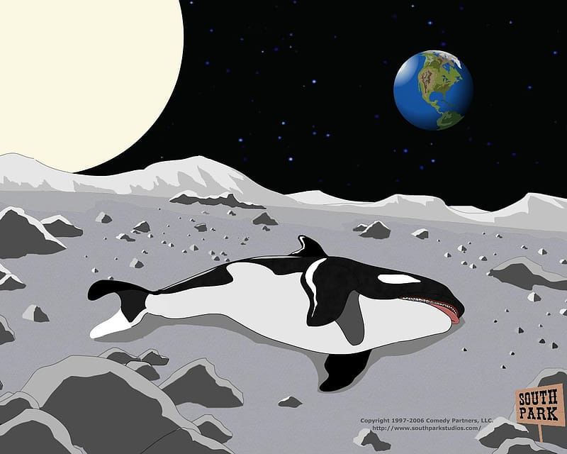 Moon, South Park, , Killer Whale, Tv Show, HD wallpaper Moon, South Park, , Killer Whale, Tv Show, HD wallpaper