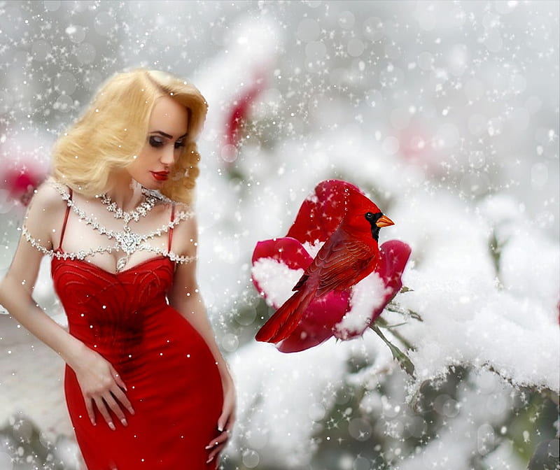 Classy Christmas Red, red, the WOW factor, colorful, vivid, bold, Princes Zoey XOXO, grandma gingerbread, etheral women, bird, christmas ladies, bright, vibrant, womens wardrobe, white, cardinal, model, HD wallpaper