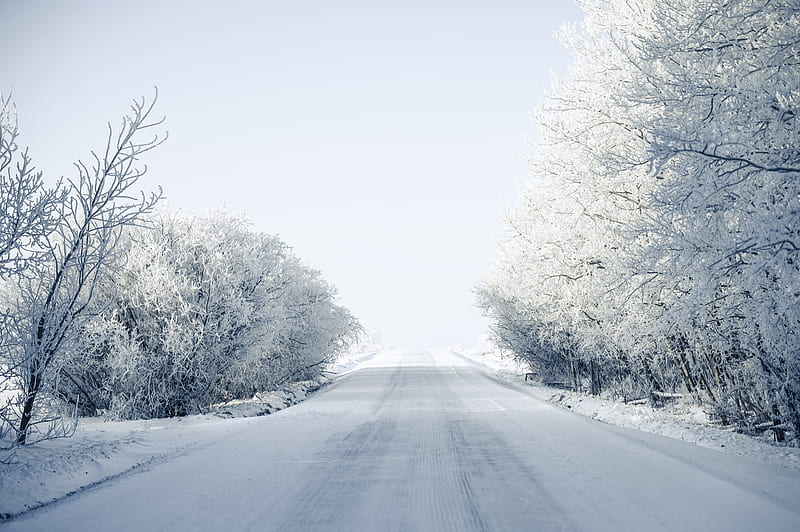 road, trees, snow, winter, snowy, HD wallpaper