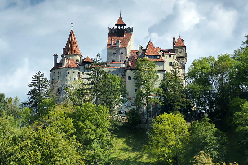 Bran Castle, Romania, forest, medieval, castle, romania, HD wallpaper