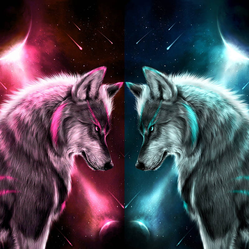 Face off, lone, wolf, wolves, HD phone wallpaper | Peakpx