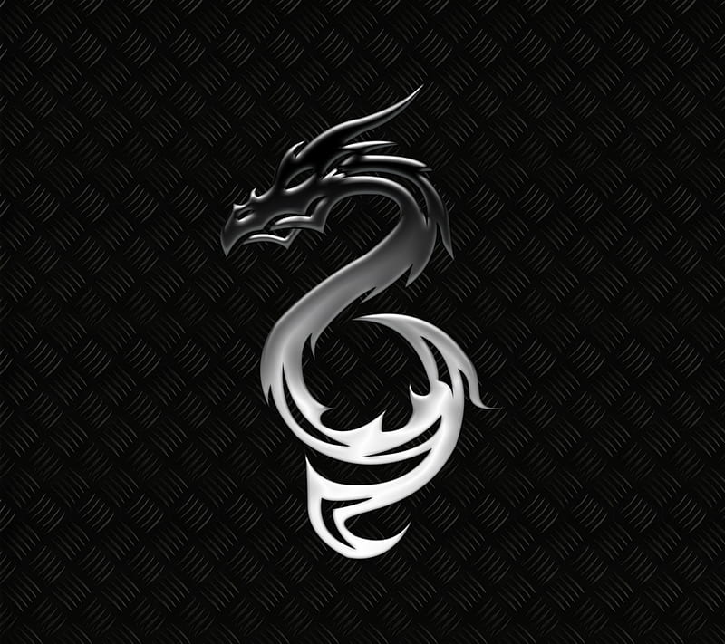 Metal Dragon, dark, drake, ophidian, serpent, silver, steel, HD wallpaper