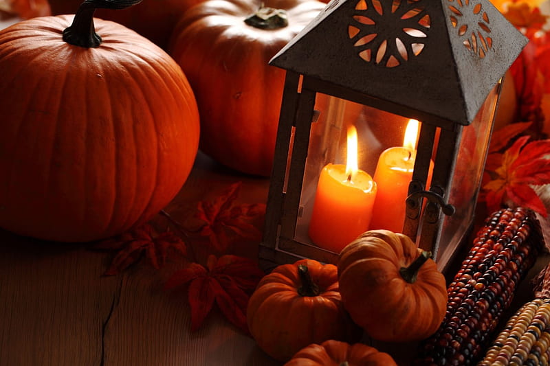 Autumn Lantern, table, corn, autumn, leaves, lantern, pumpkins, candles, light, HD wallpaper
