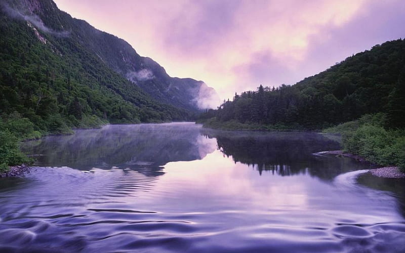 Purple reflection, forest, dawn sunset, lake, fog, mist, water, purple, mountains nature, sunrise, reflection, scene, landscape, HD wallpaper