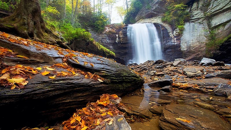 Looking Glass Falls in peak fall color - North Carolina, sky, rocks, landscape, trees, clouds, usa, HD wallpaper