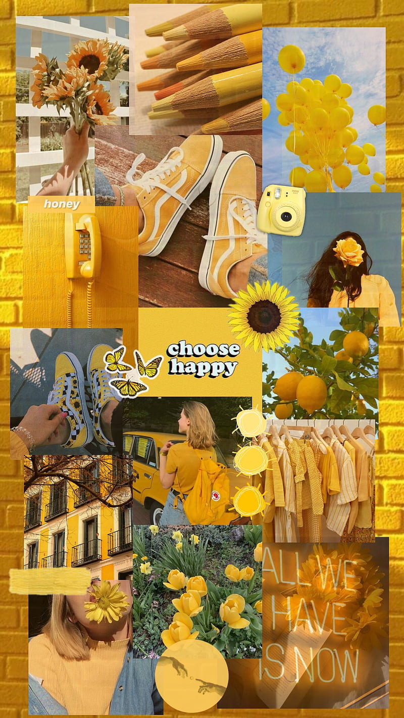 Aesthetic yellow, cool, edit, girls, sunflower, HD phone wallpaper