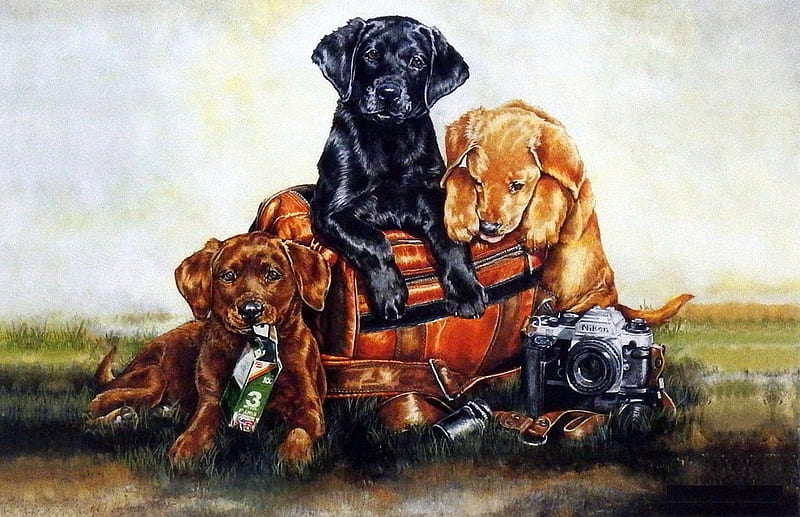 Little Guardians, puppies, painting, camera, artwork, dogs, baggage, HD wallpaper