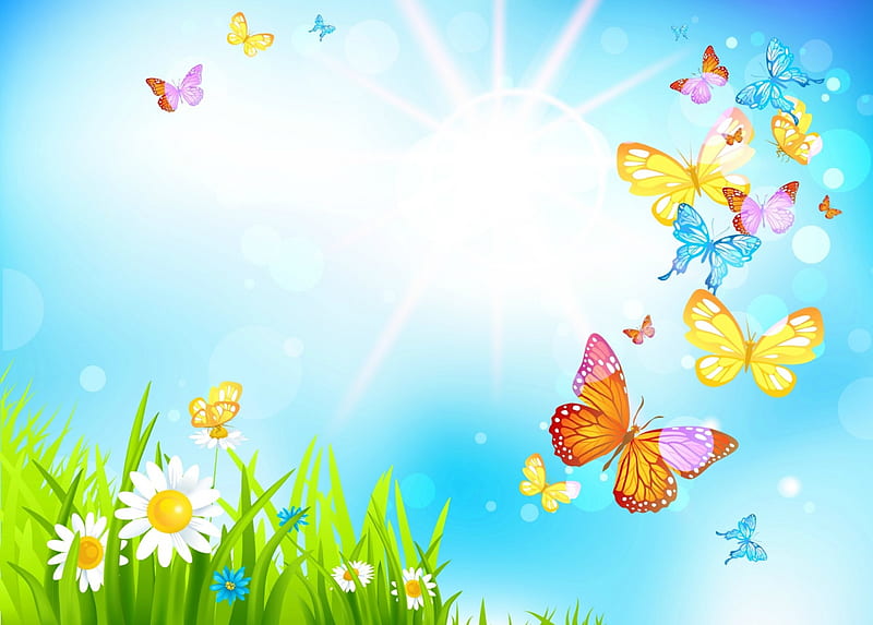 Spring Butterflies, sun, grass, circles, butterflies, sky, daisies, rays, flowers, sun rays, Spring, HD wallpaper
