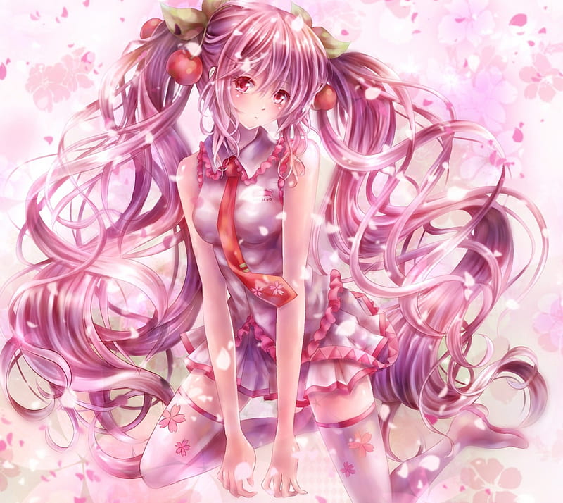 Sakura Miku Pretty Hatsune Miku Floral Sweet Blossom Nice Anime Hot Hd Wallpaper Peakpx