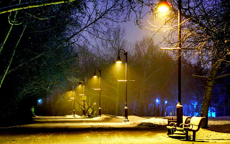 PARK at WINTER NIGHT, snow, benches, park, lights, winter, HD wallpaper