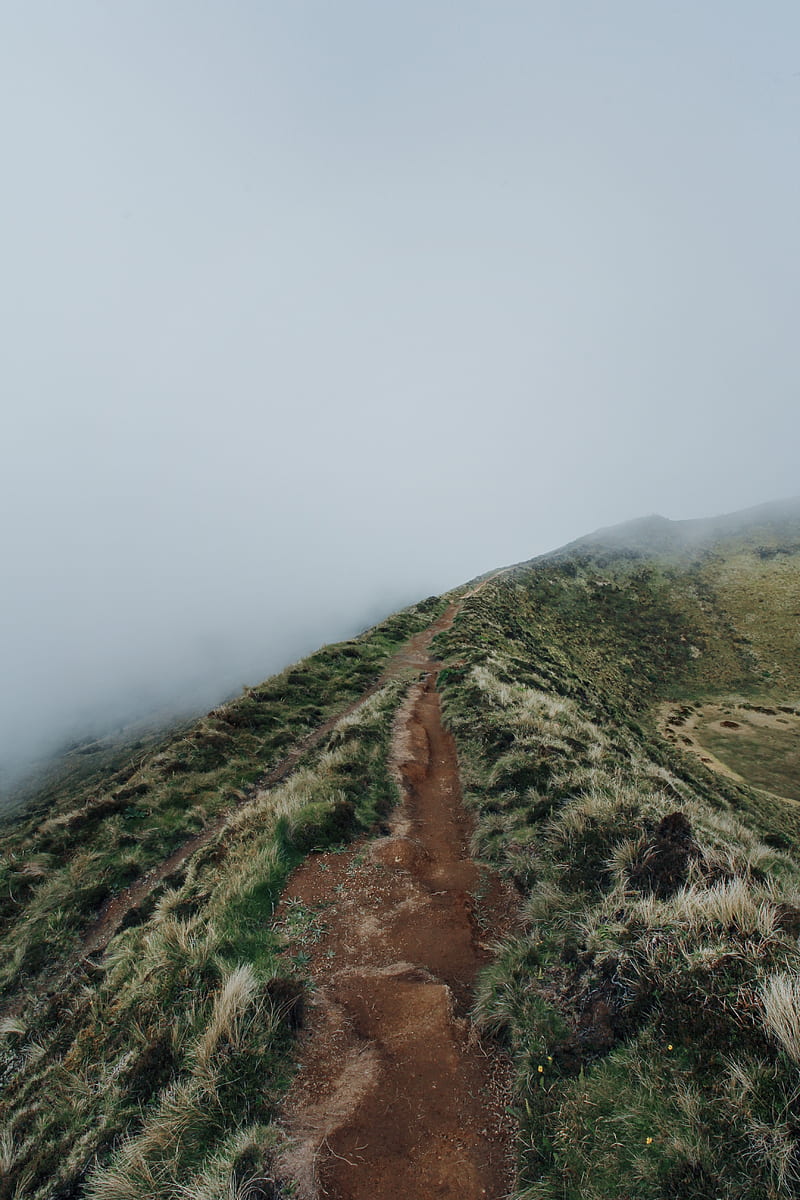 hill, ridge, fog, path, grass, slope, HD phone wallpaper