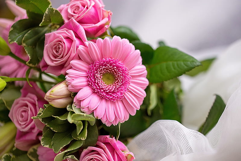 Bouquet of roses and gerberas, pretty, leaves, bouquet, flowers, gerbera, bonito, pink, roses, scent, HD wallpaper