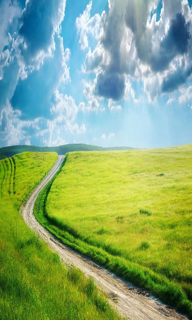 Road, landscape, nature, HD phone wallpaper | Peakpx