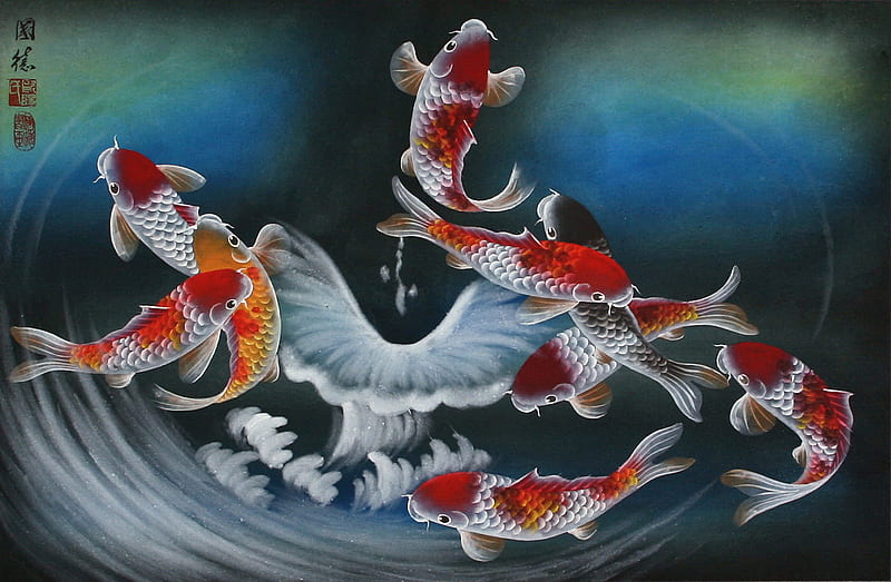 BEAUTIFUL KOI, painting, koi, bonito, fish, HD wallpaper