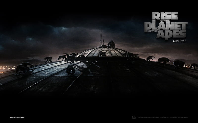 Rise of the Planet of the Apes movie 01, HD wallpaper