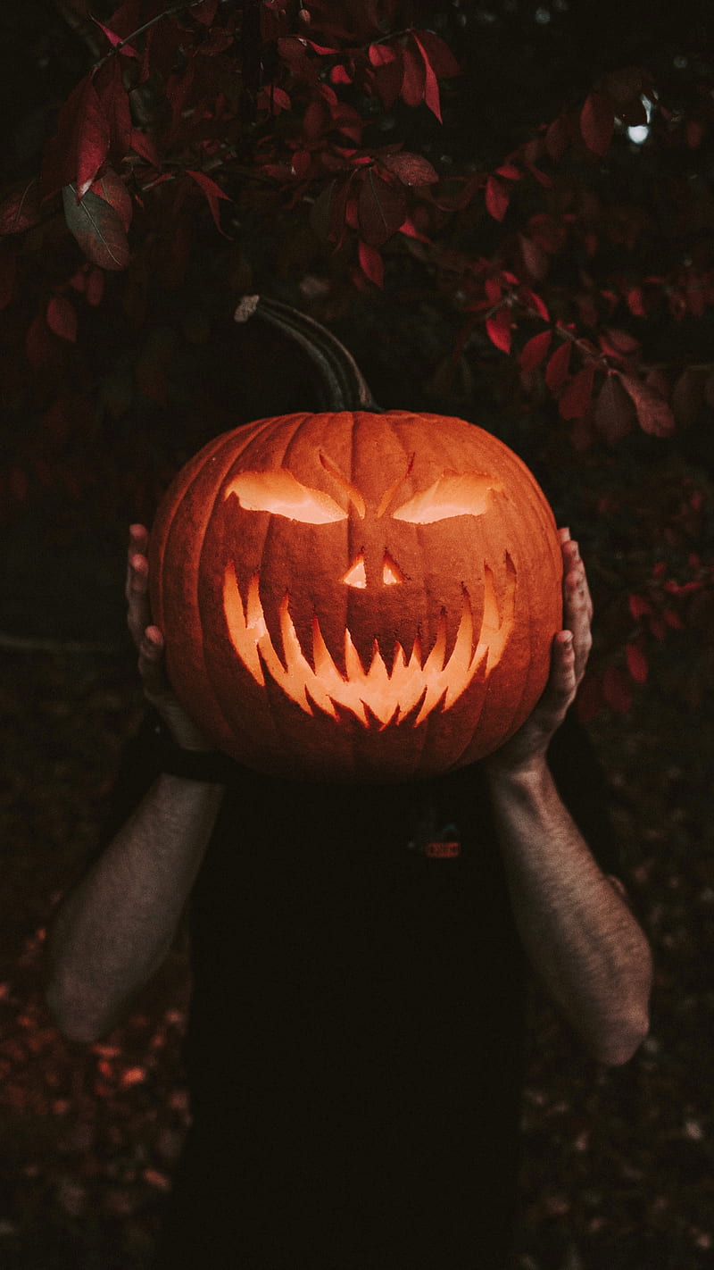 Halloween, calabaza, manos, luz, Fondo de pantalla de teléfono HD | Peakpx