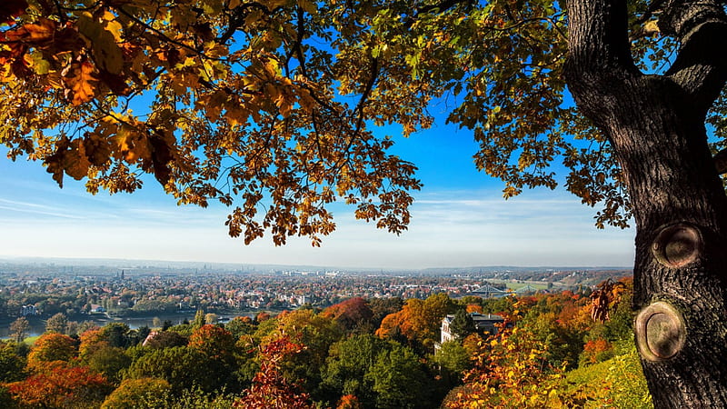 wonderful view from a hill above dresden germany, forest, tree, city, autemn, bridge, view, river, hill, HD wallpaper
