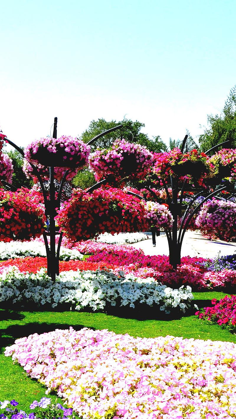 Flower Garden Wallpapers  Top Free Flower Garden Backgrounds   WallpaperAccess