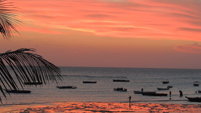 Zanzibar Sunset, red, beach, boats, island, clouds, sky, sea, HD wallpaper