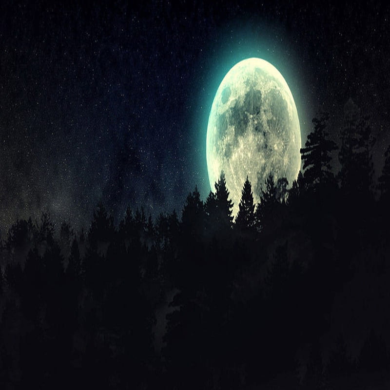 Full Moon, abstract, nature, pines, HD phone wallpaper | Peakpx