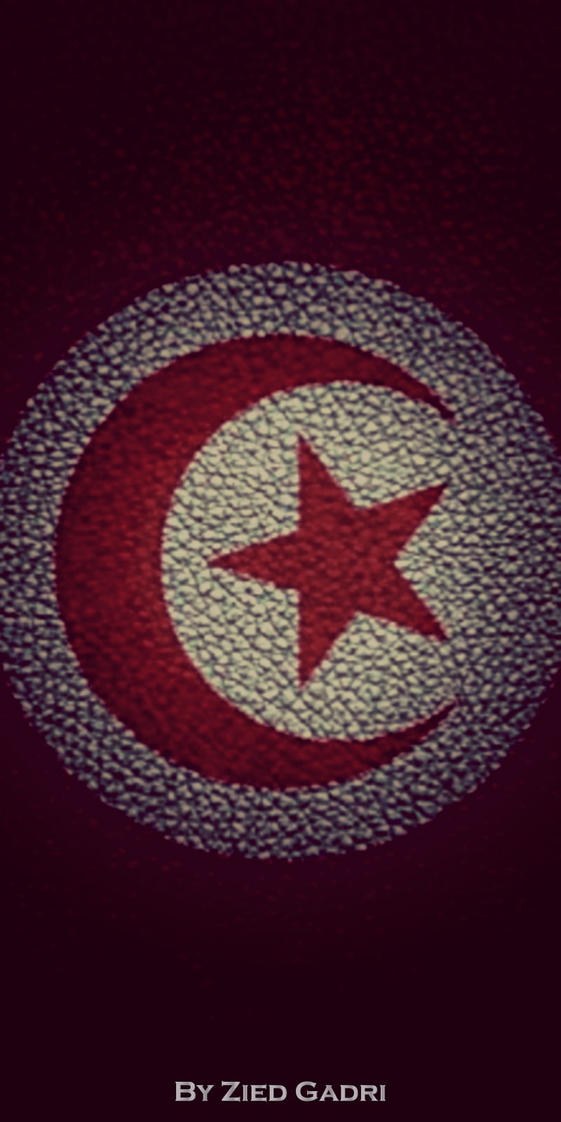 Tunisia, arabe, flags, islam, life, love, taraji, tun, tunis, tunisie, HD phone wallpaper