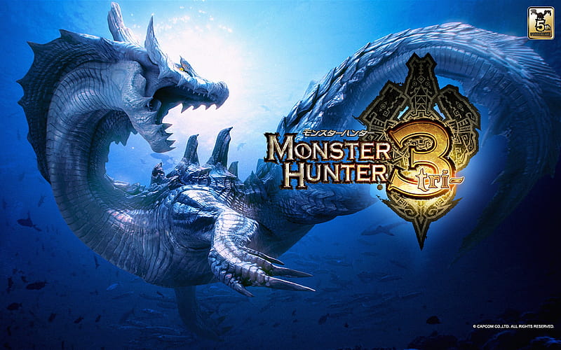 Monster Hunter Tri, nintendo, capcom, wii, monster hunter, HD wallpaper