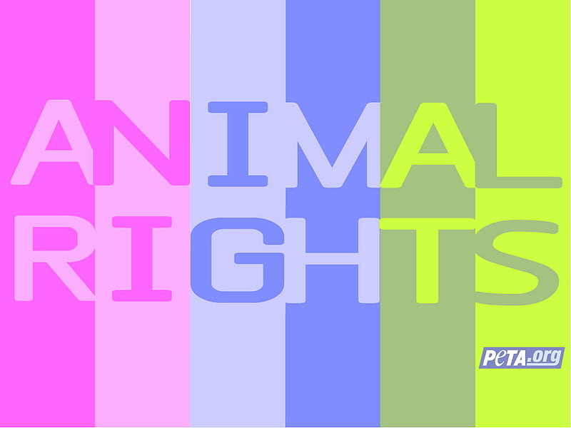 Animal Rights, vegetarian, peta, vegan, HD wallpaper