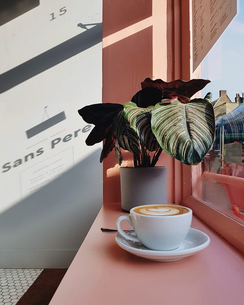 cup, coffee, flower, window sill, window, pink, HD phone wallpaper