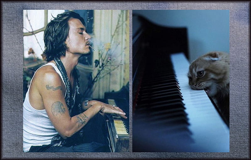 M & C, playing, tattoos, man, cat, cigarette, piano, by carmencitazapacita,  funny, HD wallpaper | Peakpx