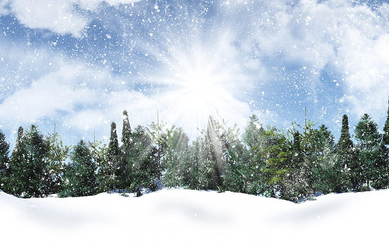 winter, snow, forest, trees, morning, winter landscape, HD wallpaper