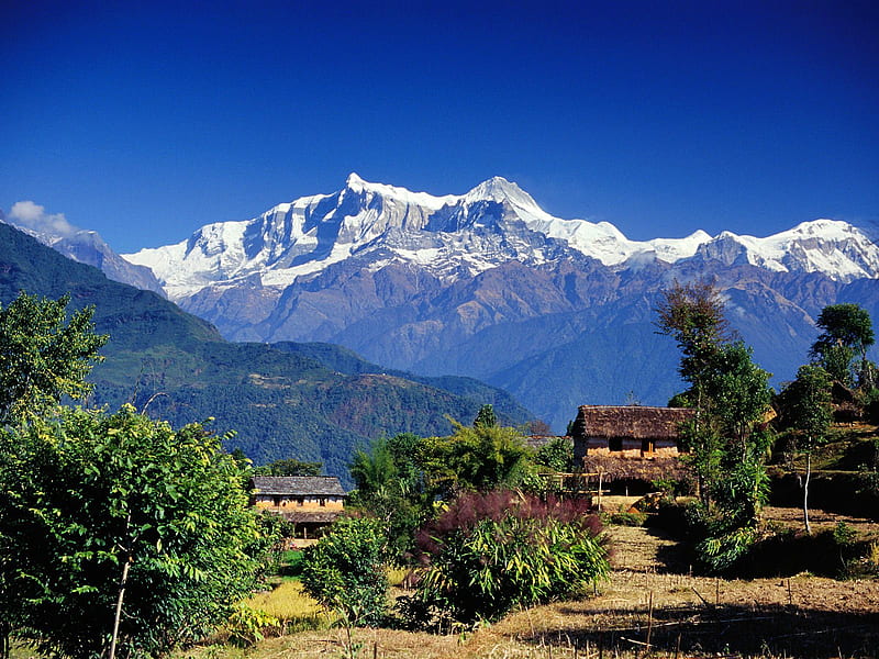 Village in Gandaki Annapurna Range Nepal, nepal, annapurna, houses, trees, landscape, HD wallpaper