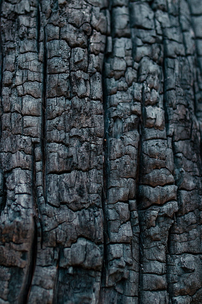 wood, coal, texture, black, HD phone wallpaper