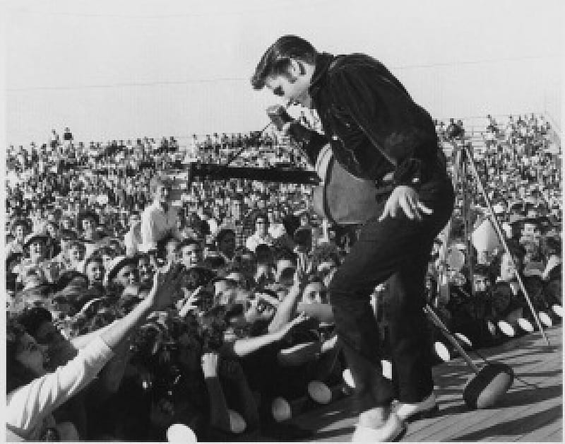 ELVIS PRESLEY THE KING ELVIS PRESLEY ROCK AND ROLL HD Wallpaper 