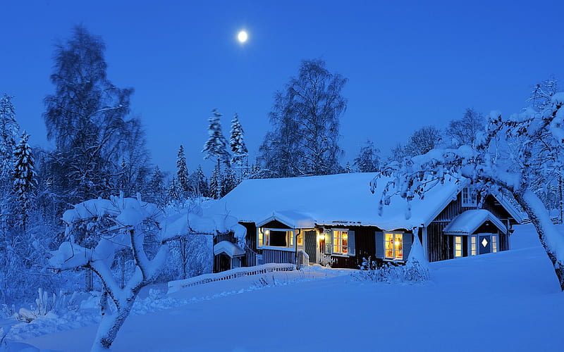 Moonlight Cabin, snow, evening, trees, lights, winter, landscape, HD wallpaper