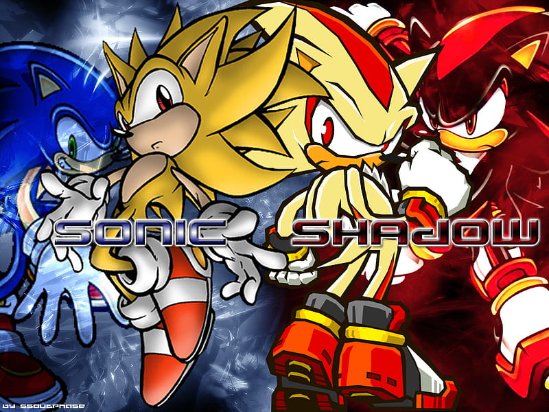 Don't mess with the two coolest hedgehog's around, shadow, super sonic, sonic, super shadow, HD wallpaper