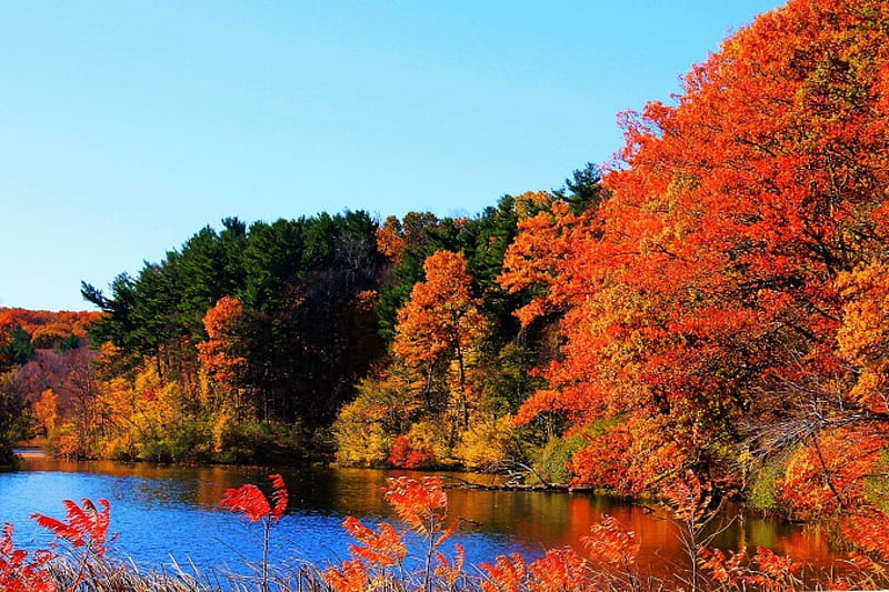 Autumn Lake, hills, fall, water, colors, season, reflection, trees, HD ...