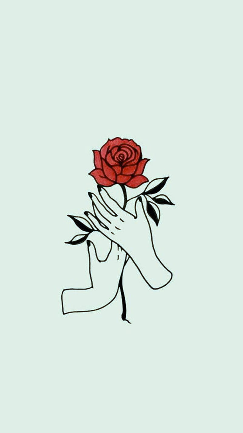 Rose, flower, hands, HD phone wallpaper