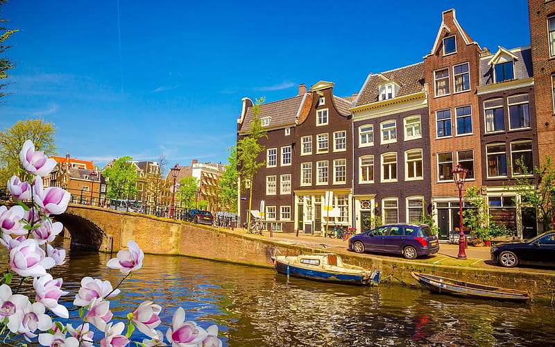 Netherlands, Amsterdam, spring, bridge, R, HD wallpaper