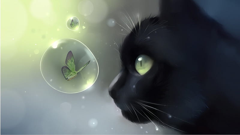 Black Cat Green Butterfly Bubble, feline, anime, kitty, bubbles,  butterflies, HD wallpaper | Peakpx