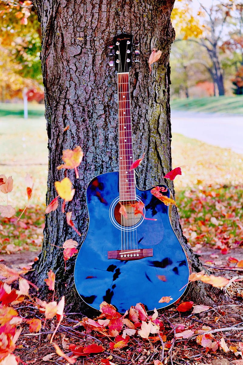 Cool Playig Guitar – Background, Blue Guitar HD wallpaper | Pxfuel-atpcosmetics.com.vn