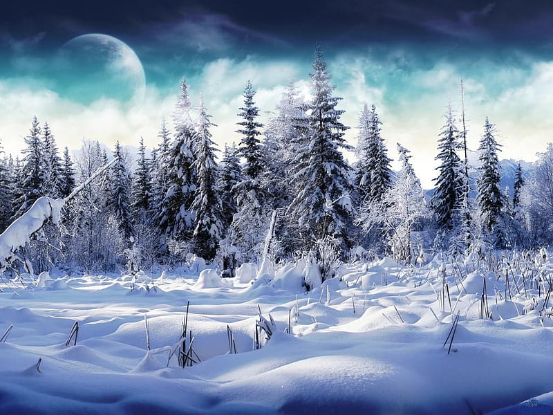 Deep-winter, moon, snow, nature, trees, clouds, sky, winter, HD wallpaper