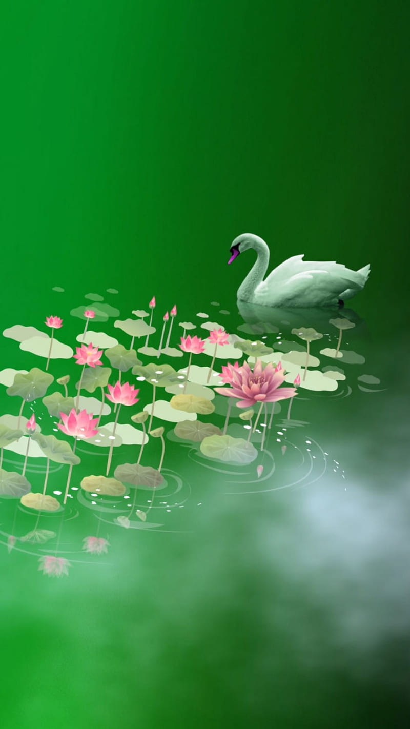 HD ~pink swans~ wallpapers | Peakpx