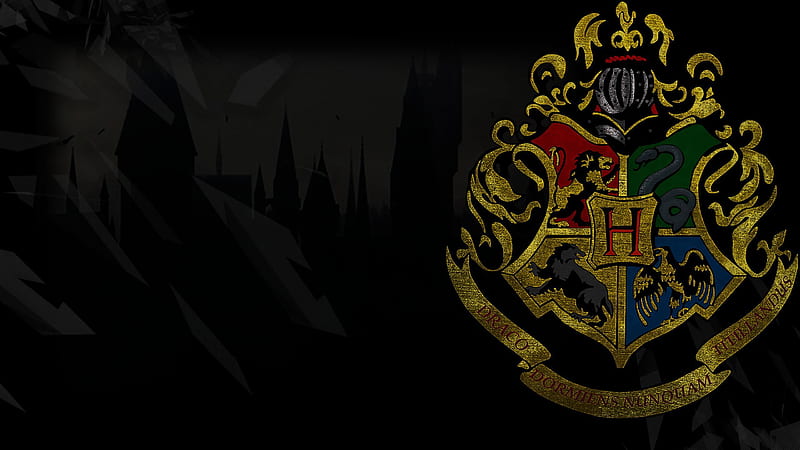 Harry Potter, Movie, Gryffindor, Hufflepuff, Ravenclaw (Harry Potter), Slytherin (Harry Potter), HD wallpaper
