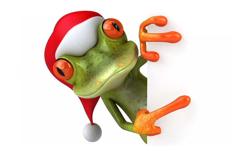Merry Christmas!, red, craciun, orange, christmas, hat, frog, santa, green, funny, white, HD wallpaper
