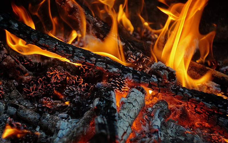 bonfire, fire, flames, Smoldering coals, HD wallpaper