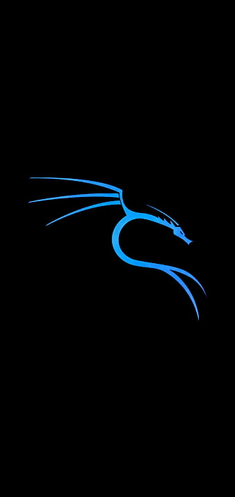 Kali Linux Blue, hacker, hacking, kali, linux, nethunter, offensive security, HD phone wallpaper