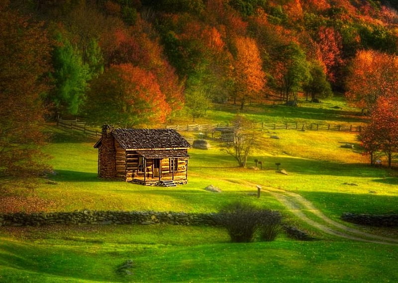 An Autum Morning, autum, forest, house, way, field, HD wallpaper